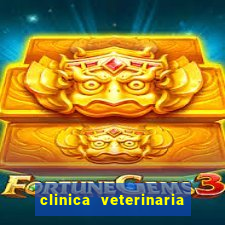 clinica veterinaria cuidar betim