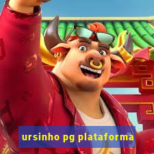 ursinho pg plataforma