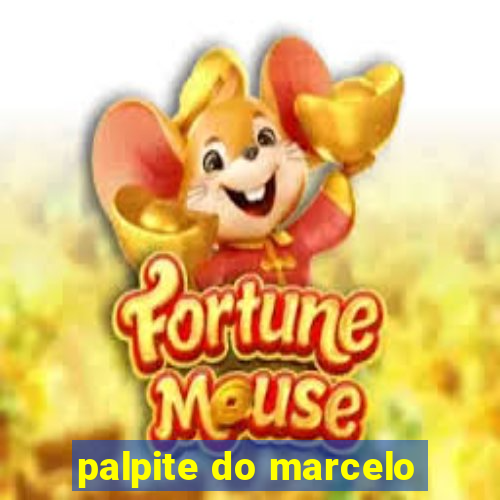 palpite do marcelo