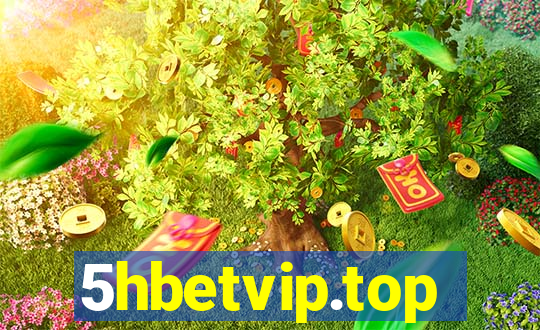 5hbetvip.top