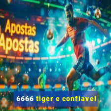 6666 tiger e confiavel