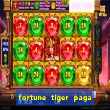 fortune tiger paga de madrugada