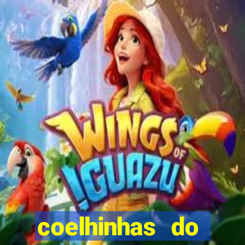 coelhinhas do brasil site