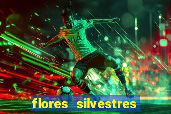 flores silvestres desbravadores desbravadores 25 flores silvestres e seus nomes