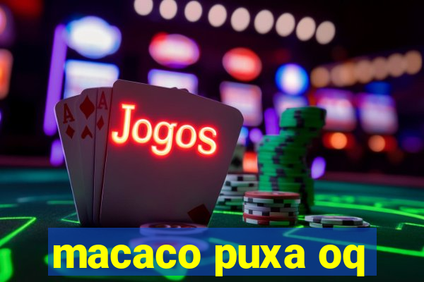 macaco puxa oq