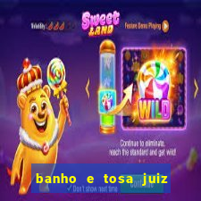 banho e tosa juiz de fora