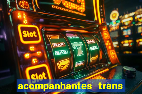 acompanhantes trans baixada fluminense