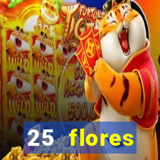 25 flores silvestres desbravadores