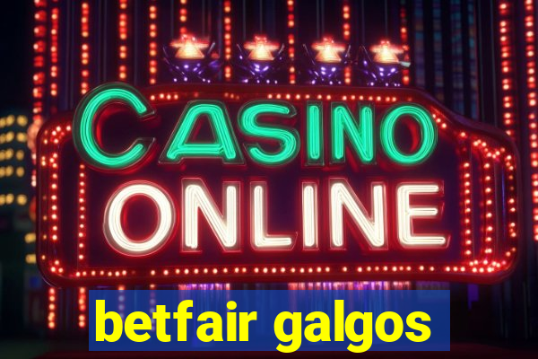 betfair galgos