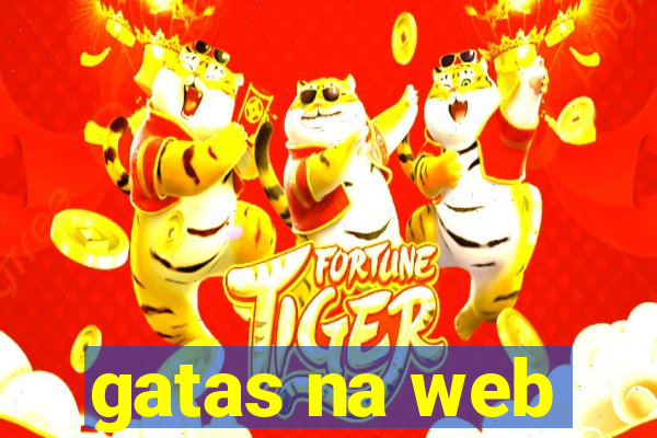 gatas na web